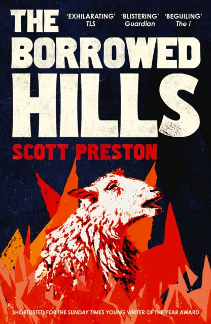 The Borrowed Hills : 'A sucker-punch of a novel' Guardian - 9781399812863