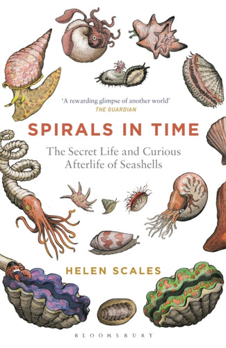 Spirals in Time : The Secret Life and Curious Afterlife of Seashells - 9781472911384