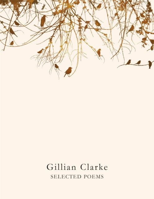 Selected Poems - 9781509821921