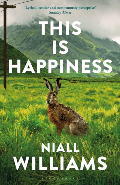 This Is Happiness : By the author of Four Letters of Love, now a major film starring Helena Bonham Carter and Pierce Brosnan - 9781526609359