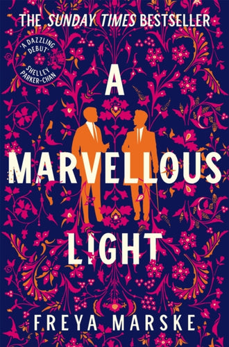 A Marvellous Light : a dazzling, queer romantic fantasy - 9781529080902