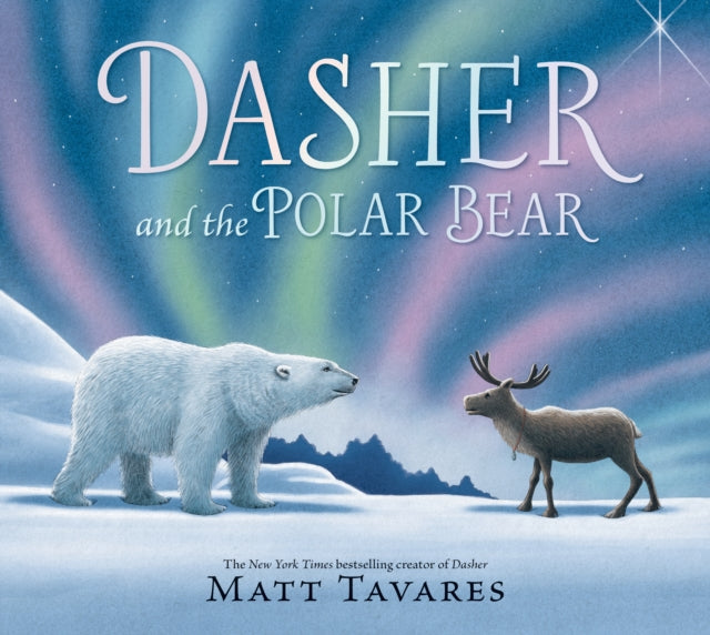 Dasher and the Polar Bear : The third Christmas classic in Matt Tavares' series starring kind reindeer Dasher, full of festive, magical wonder for ages 3–7 - 9781529528824