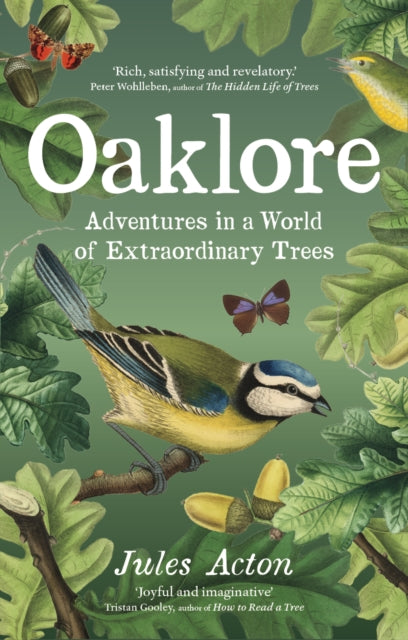 Oaklore : Adventures in a World of Extraordinary Trees - 9781771649667