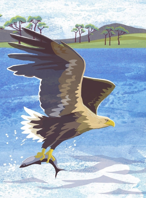 Nature Notebook: Sea Eagle - 9781780278780