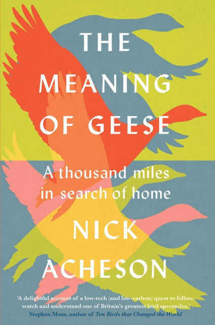 The Meaning of Geese : A Thousand Miles in Search of Home - 9781915294098