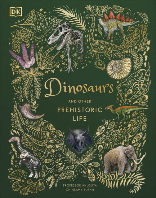 Dinosaurs and other Prehistoric Life-9780241491621
