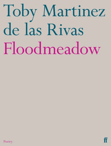 Floodmeadow-9780571376438