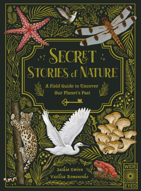 Secret Stories of Nature : A Field Guide to Uncover Our Planet's Past-9780711280342