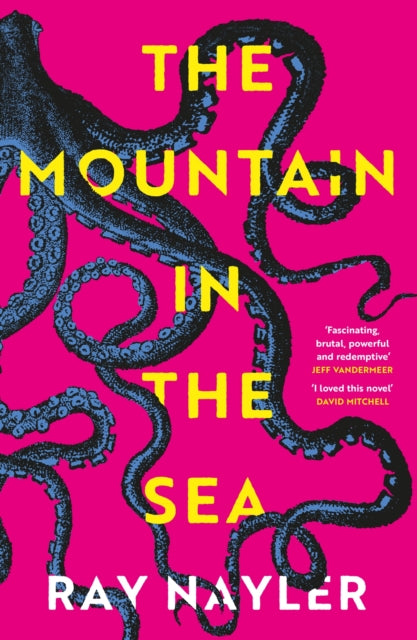 The Mountain in the Sea-9781399600460