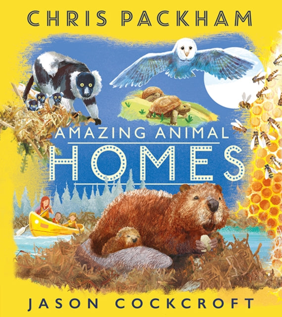 Amazing Animal Homes-9781405284899