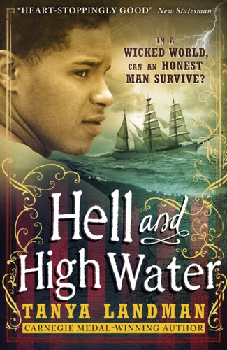 Hell and High Water-9781406366914
