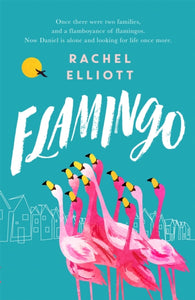 Flamingo : An exquisite and heartbreaking novel of kindness, loneliness, hope and love-9781472259455