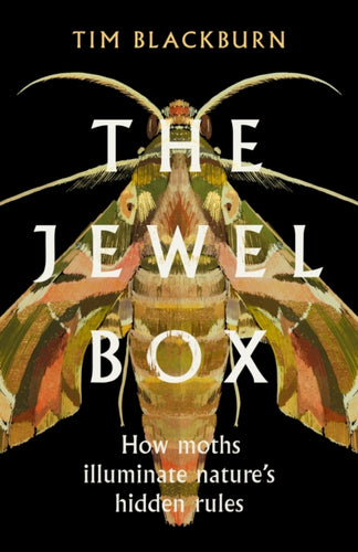 The Jewel Box : How Moths Illuminate Nature's Hidden Rules-9781474624527