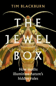 The Jewel Box : How Moths Illuminate Nature's Hidden Rules-9781474624527
