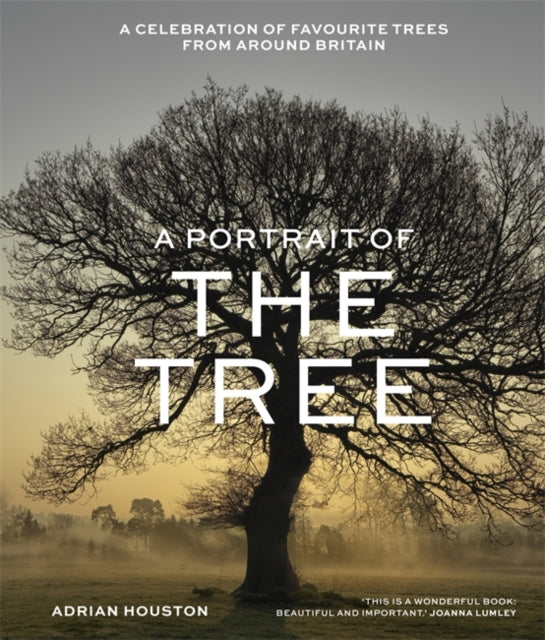 A Portrait of the Tree : A celebration of favourite trees from around Britain-9781529412581