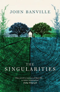 The Singularities-9781800753365