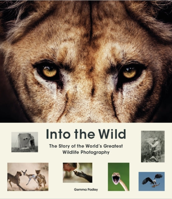 Into the Wild : The Story of the World's Greatest Wildlife Photography-9781913947484